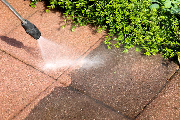 Professional Pressure Washing in Fuller Heights, FL